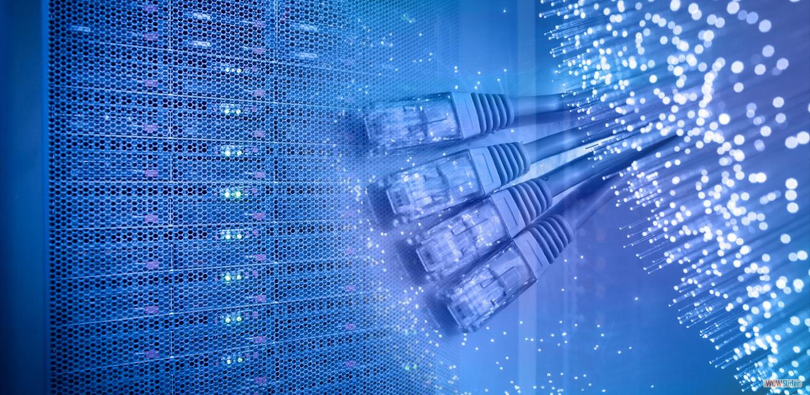 Networking (Redes y Cableado estructurado) bg_nl_networking